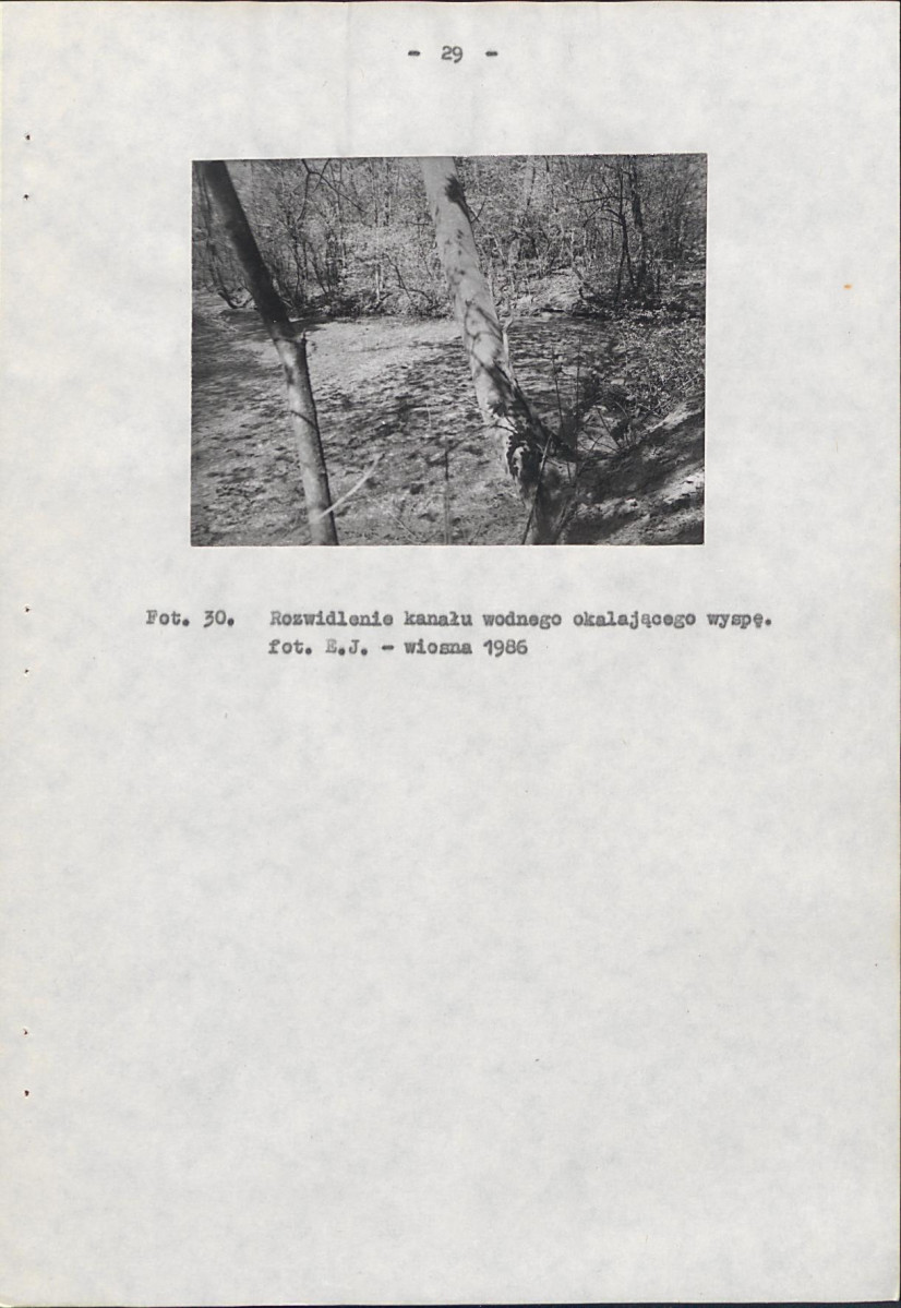 Ewidencja parkowa, skan nr 40