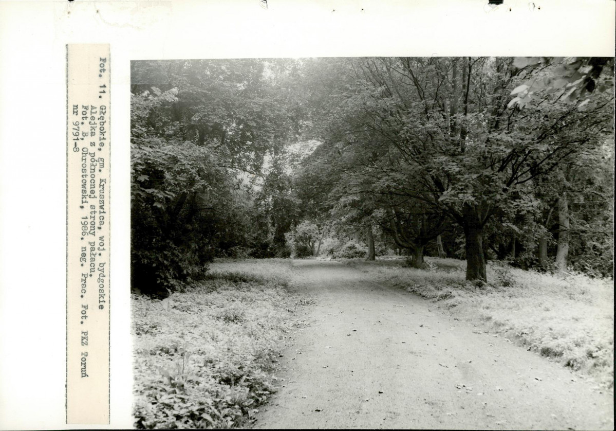 EP - Ewidencja parkowa, skan nr 43