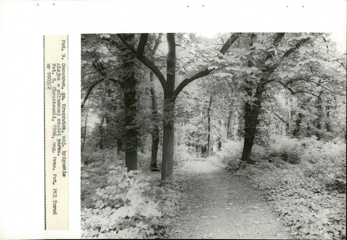 EP - Ewidencja parkowa, skan nr 38
