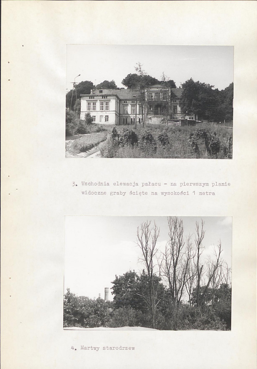 Ewidencja parkowa, skan nr 21