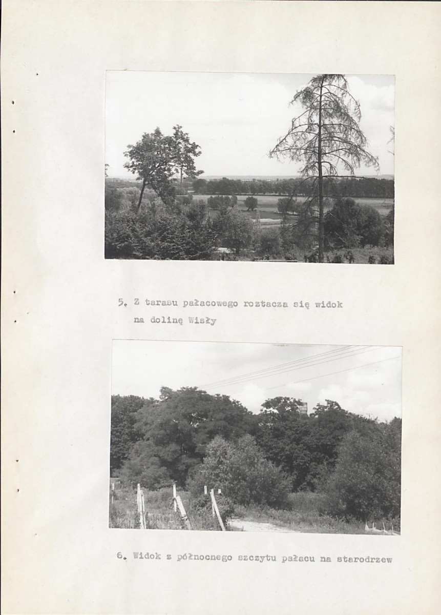 Ewidencja parkowa, skan nr 22