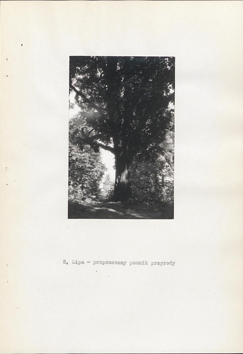 Ewidencja parkowa, skan nr 24