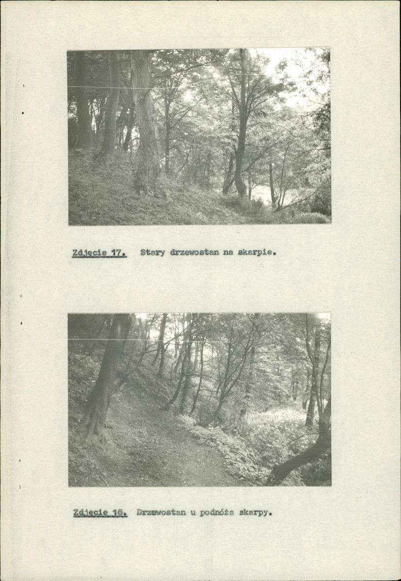 EP - Ewidencja parkowa, skan nr 31
