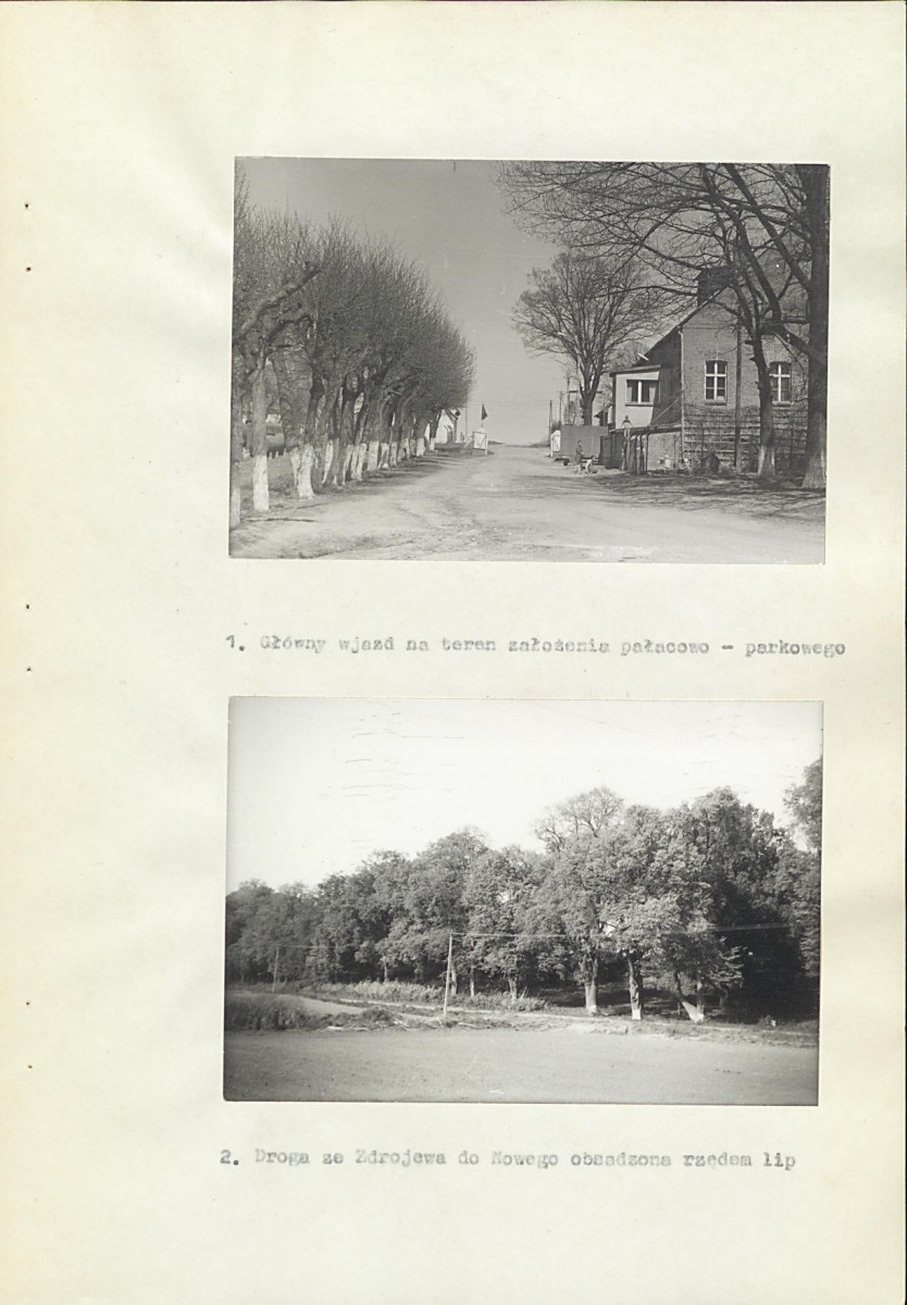 Ewidencja parkowa, skan nr 21