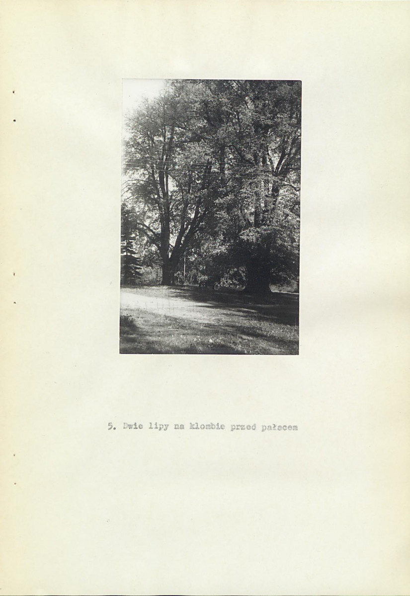 Ewidencja parkowa, skan nr 23