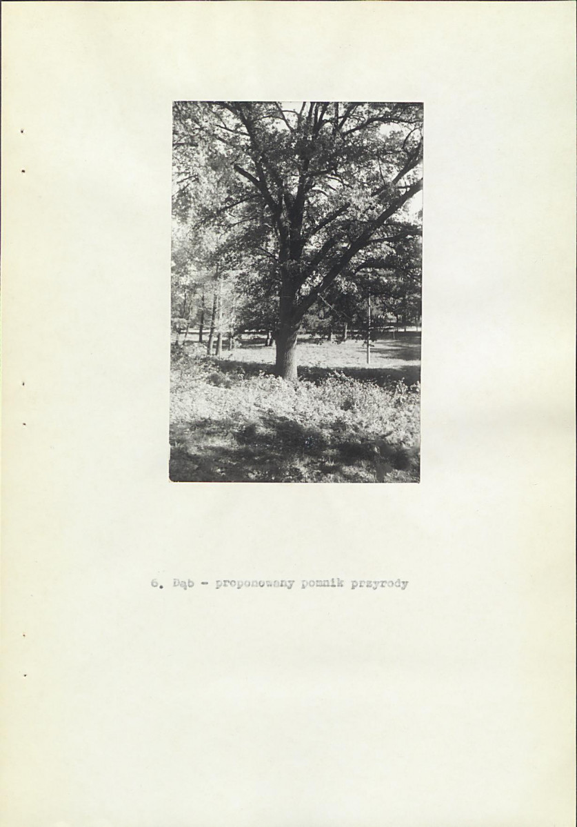 Ewidencja parkowa, skan nr 24