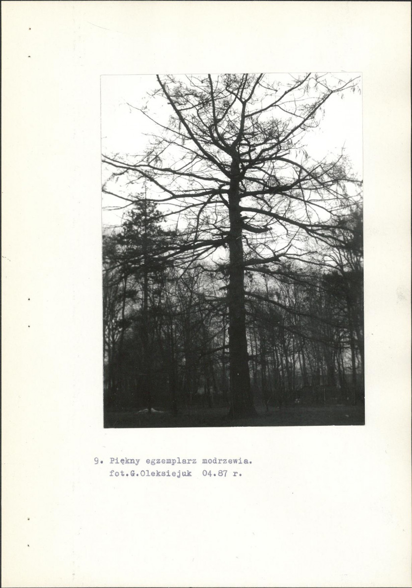 Ewidencja parkowa, skan nr 26