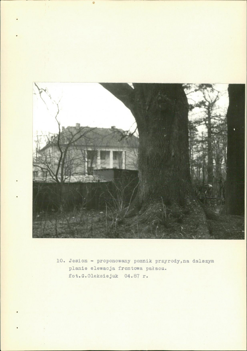 Ewidencja parkowa, skan nr 27