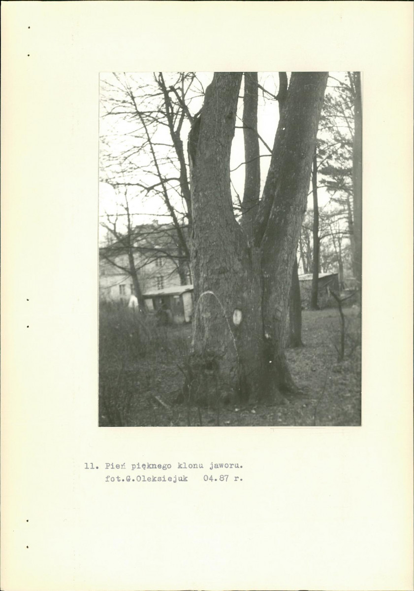 Ewidencja parkowa, skan nr 28