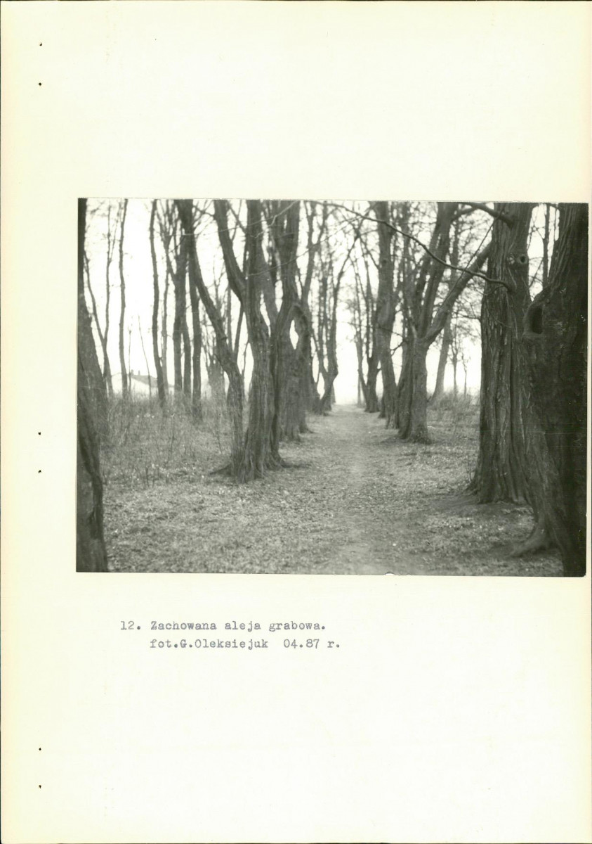 Ewidencja parkowa, skan nr 29