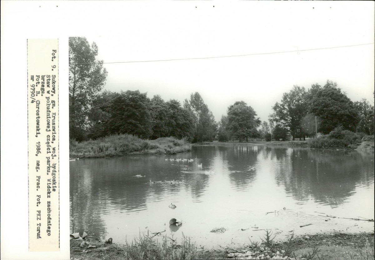 Ewidencja parkowa, skan nr 38