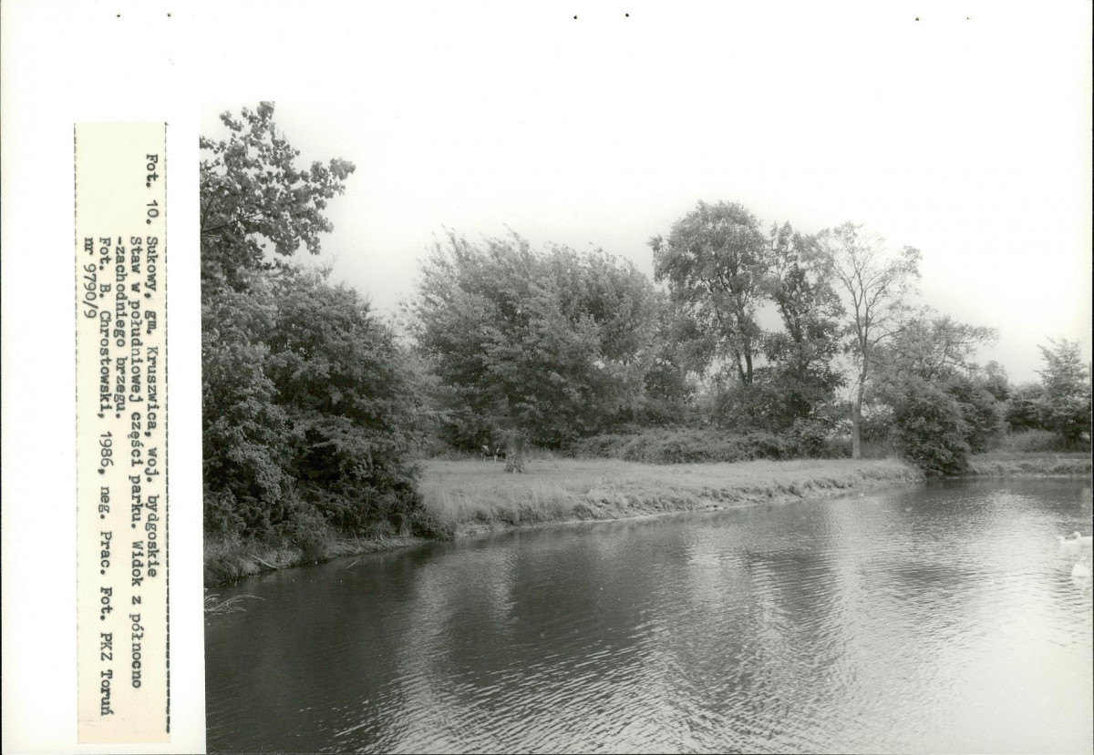 Ewidencja parkowa, skan nr 40