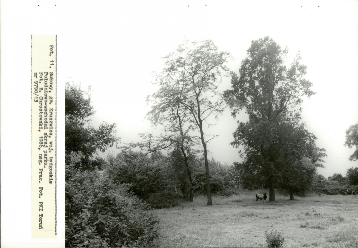 Ewidencja parkowa, skan nr 42