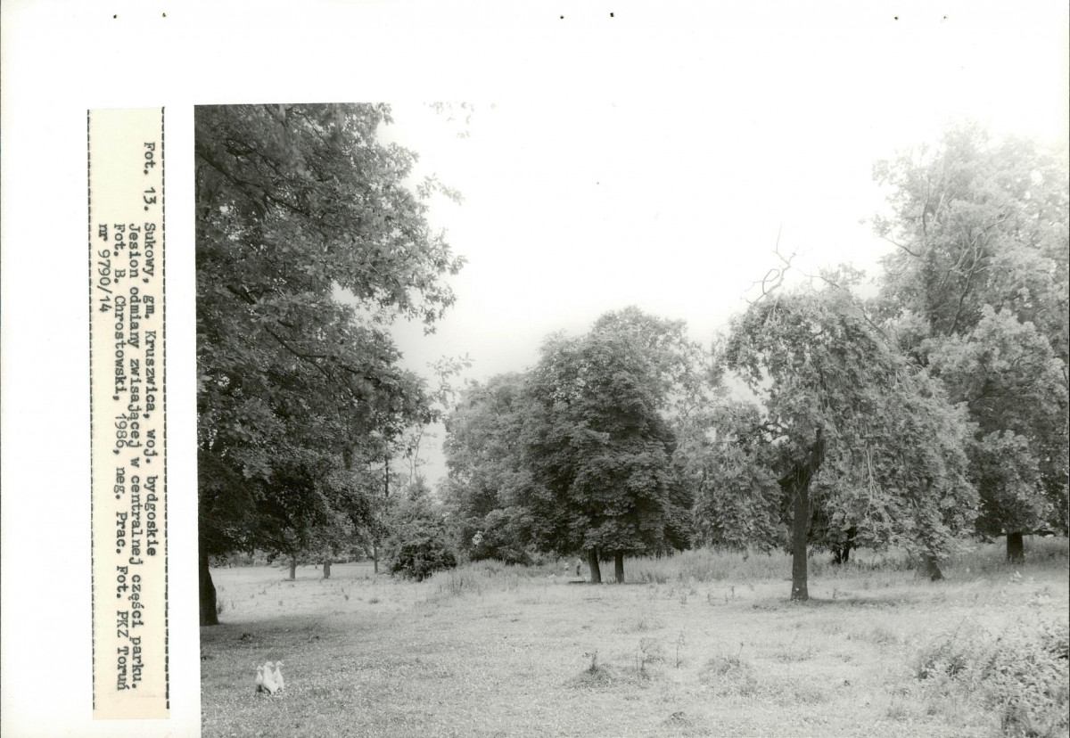 Ewidencja parkowa, skan nr 46