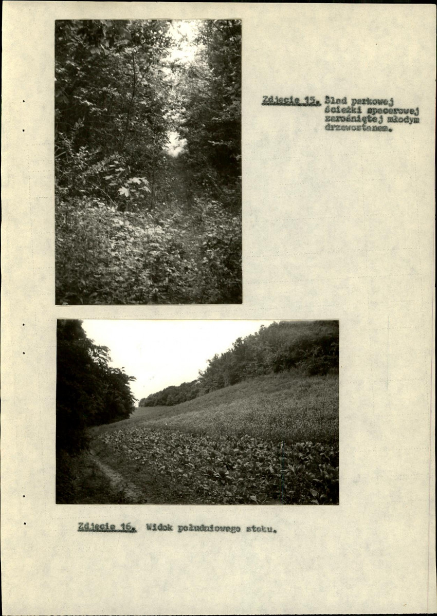 EP - Ewidencja parkowa, skan nr 40