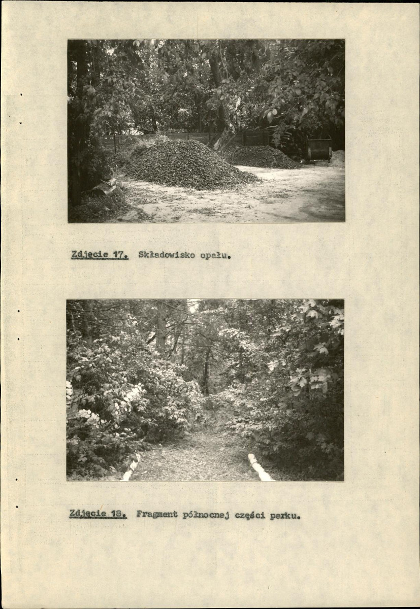 EP - Ewidencja parkowa, skan nr 41