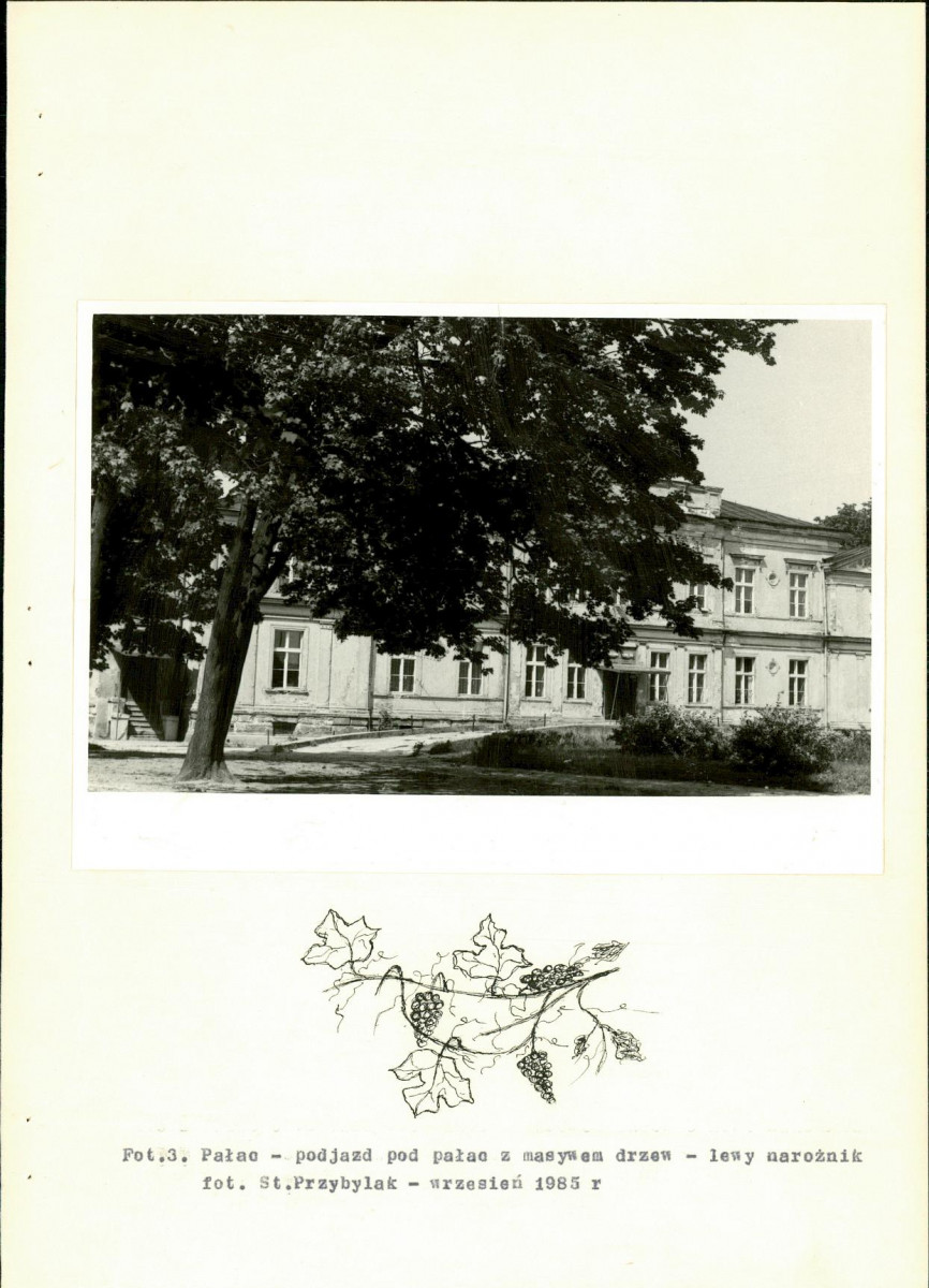 Ewidencja parkowa, skan nr 29