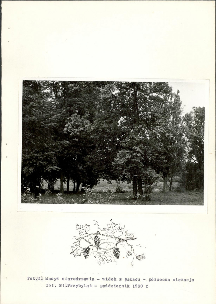 Ewidencja parkowa, skan nr 31