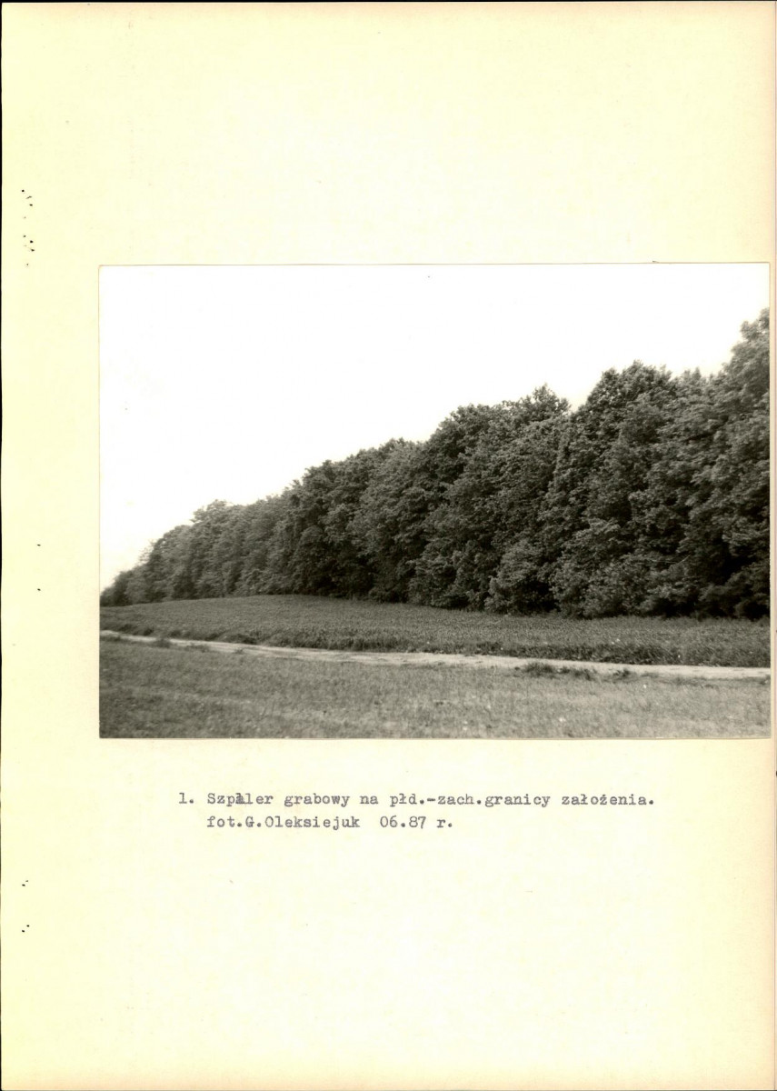 EP - Ewidencja parkowa, skan nr 16