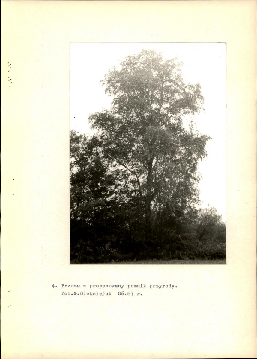 EP - Ewidencja parkowa, skan nr 19