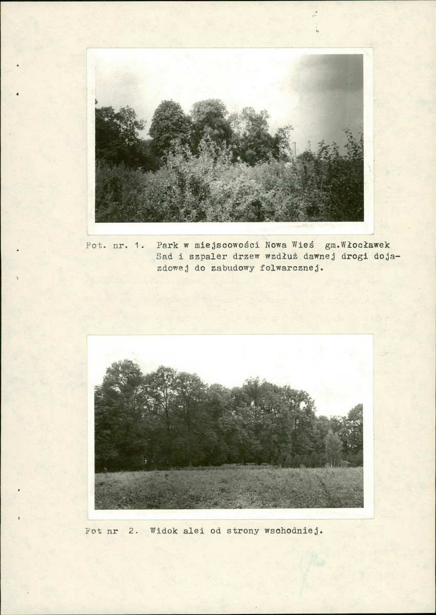 EP - Ewidencja parkowa, skan nr 26