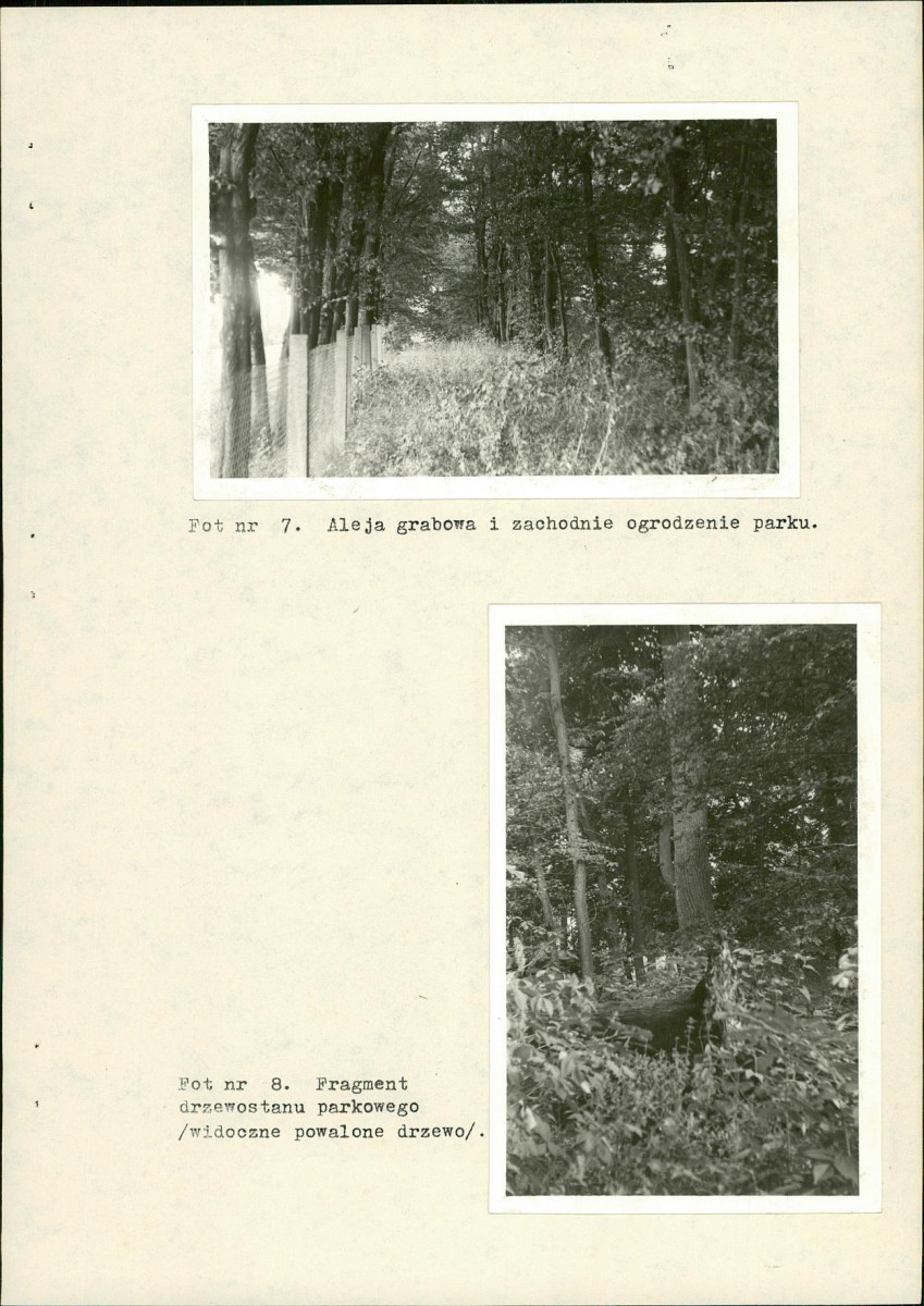 EP - Ewidencja parkowa, skan nr 29