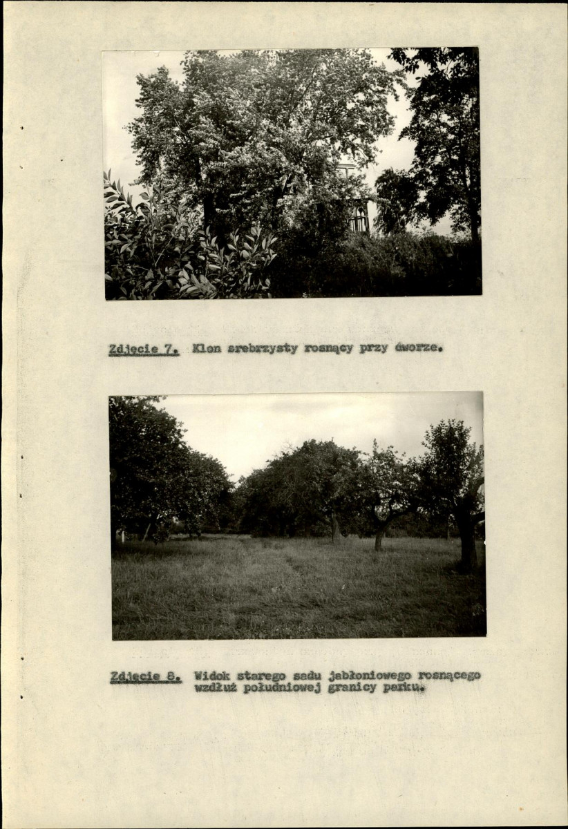 EP - Ewidencja parkowa, skan nr 28