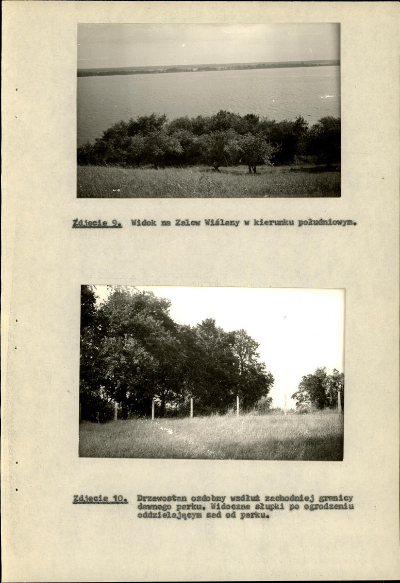 EP - Ewidencja parkowa, skan nr 29