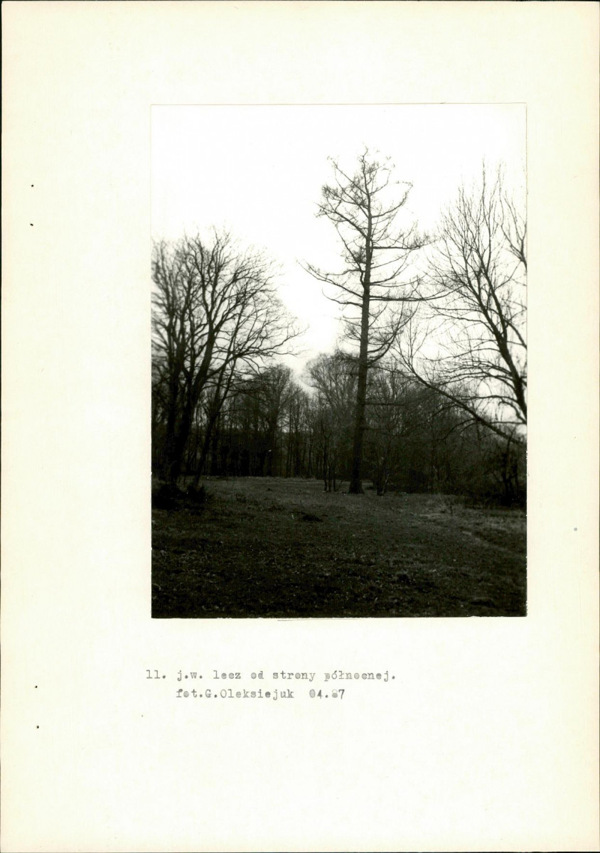 Ewidencja parkowa, skan nr 31