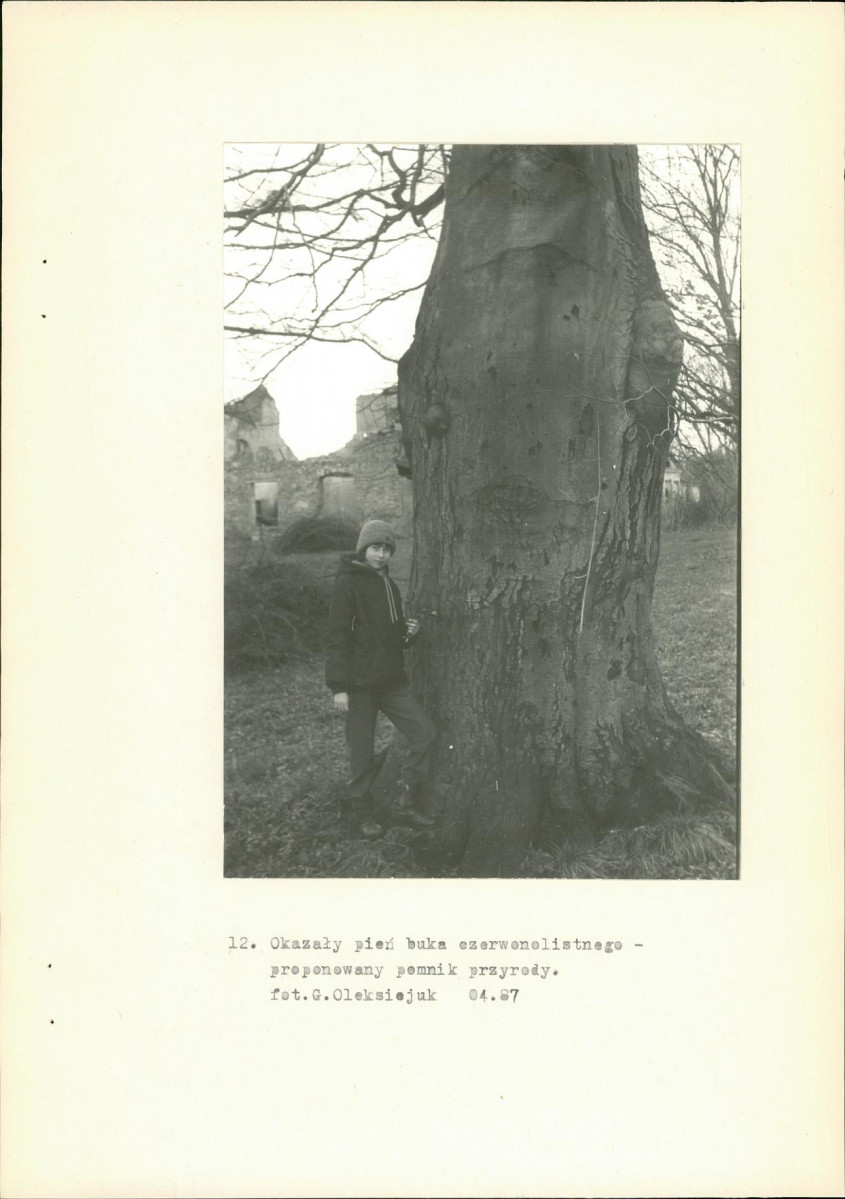 Ewidencja parkowa, skan nr 32