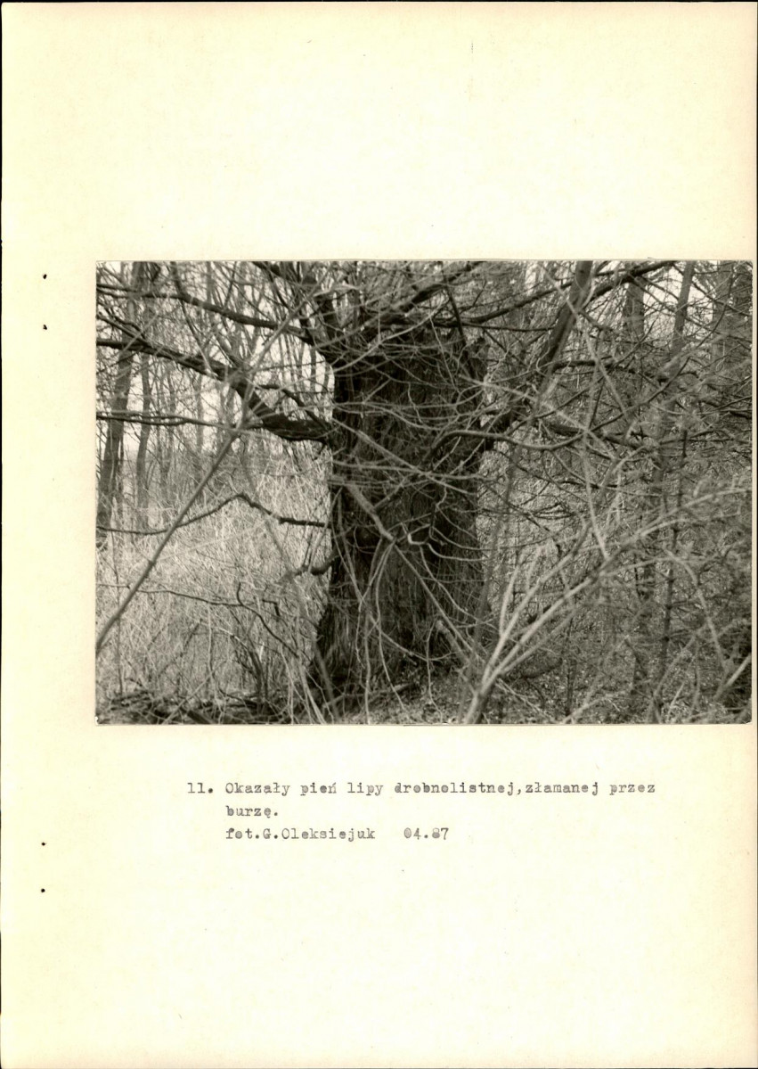 Ewidencja parkowa, skan nr 30