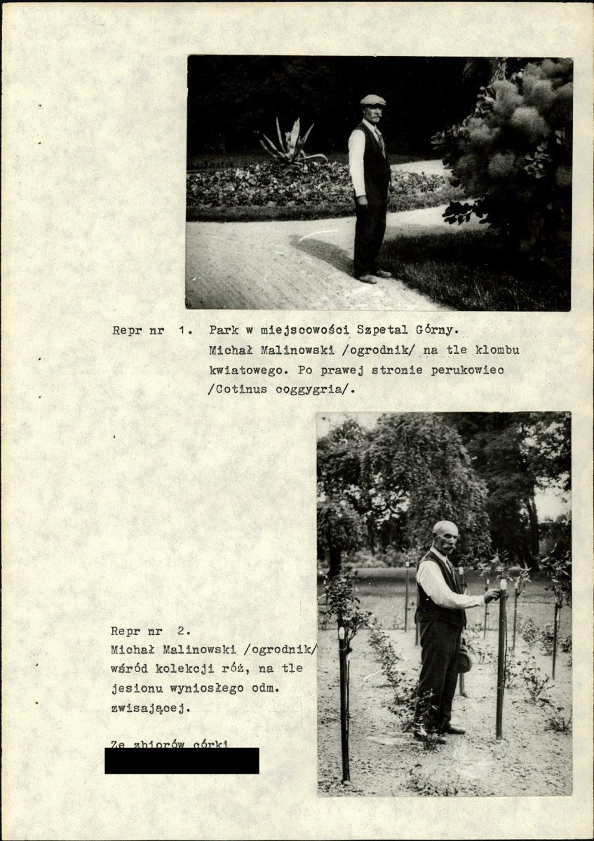 Ewidencja parkowa, skan nr 17