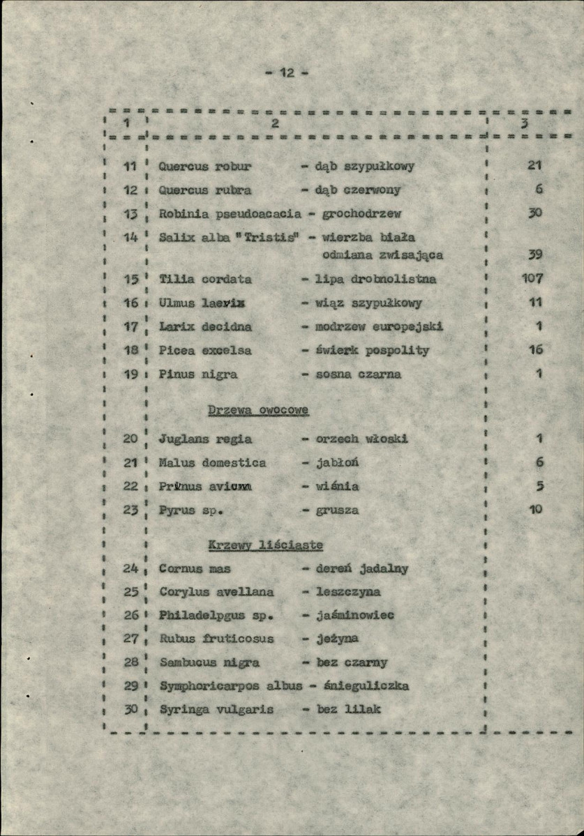 Ewidencja parkowa, skan nr 21