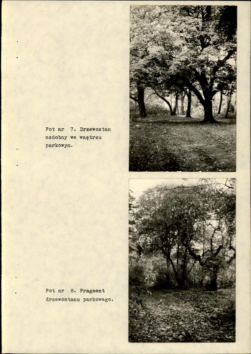 Ewidencja parkowa, skan nr 30