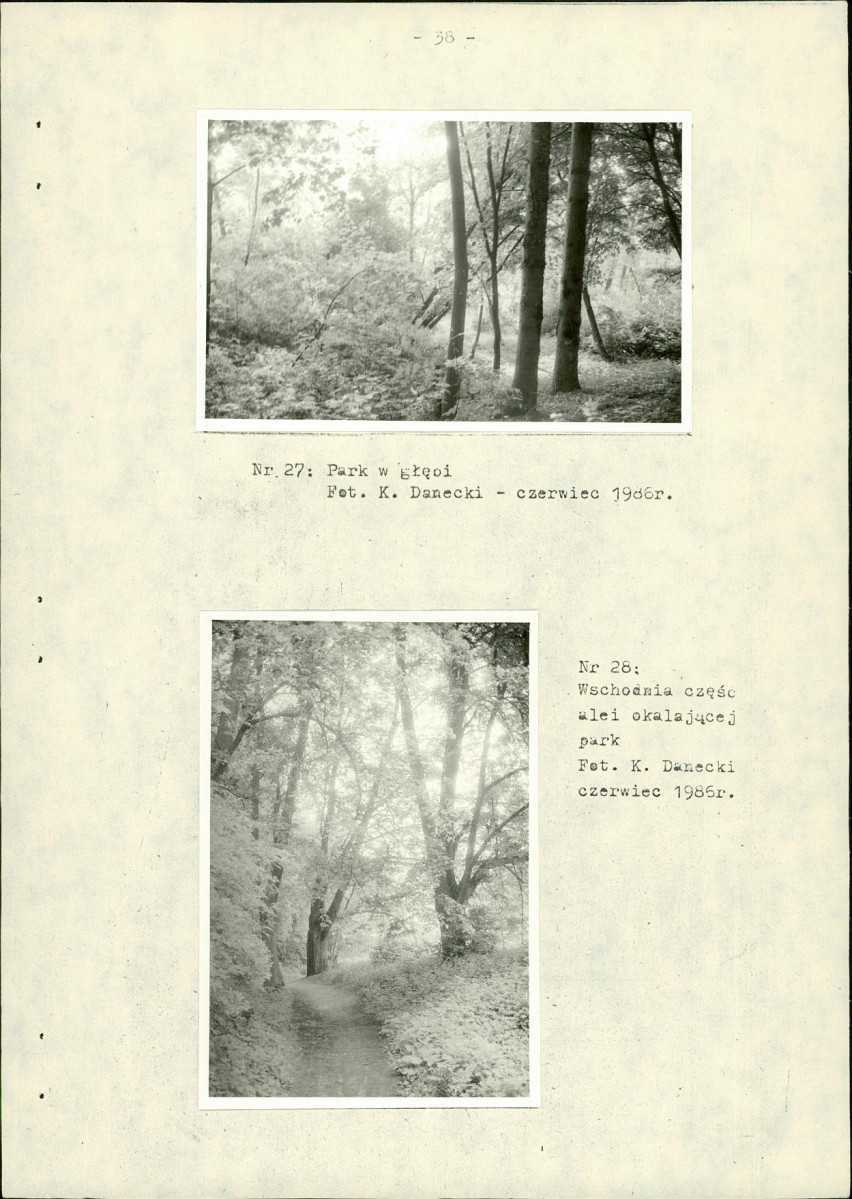 EP - Ewidencja parkowa, skan nr 46
