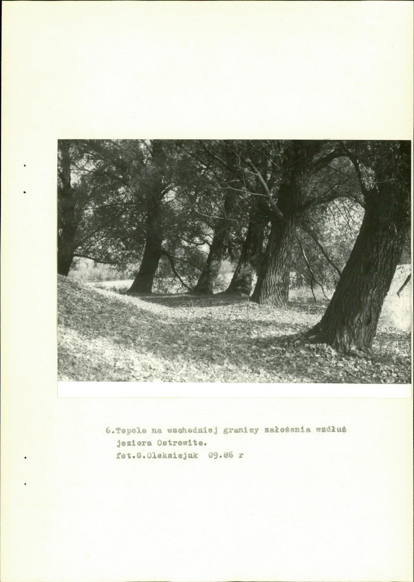 EP - Ewidencja parkowa, skan nr 25