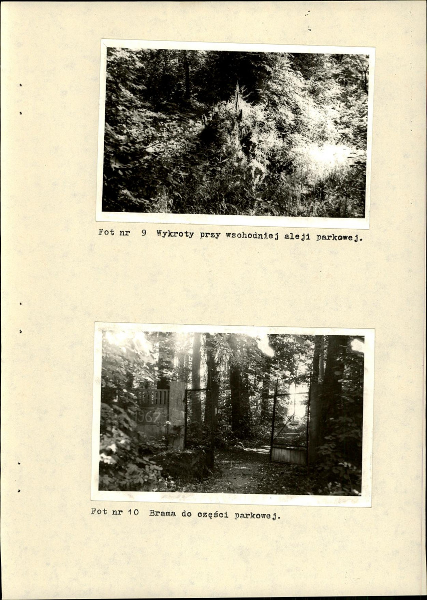 Ewidencja parkowa, skan nr 27