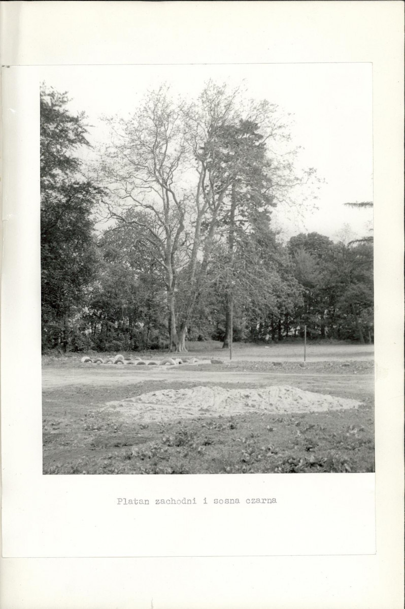 Ewidencja parkowa, skan nr 38