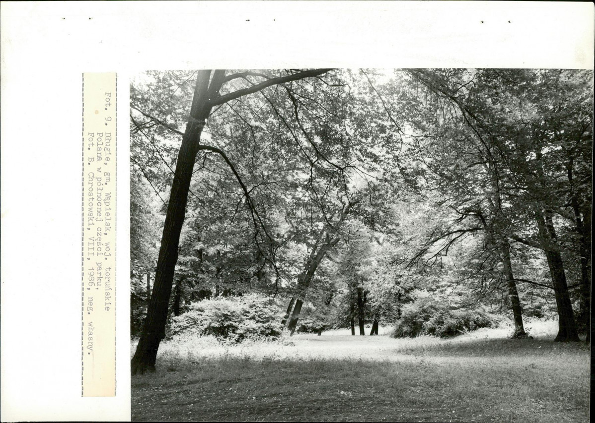 EP - Ewidencja parkowa, skan nr 37