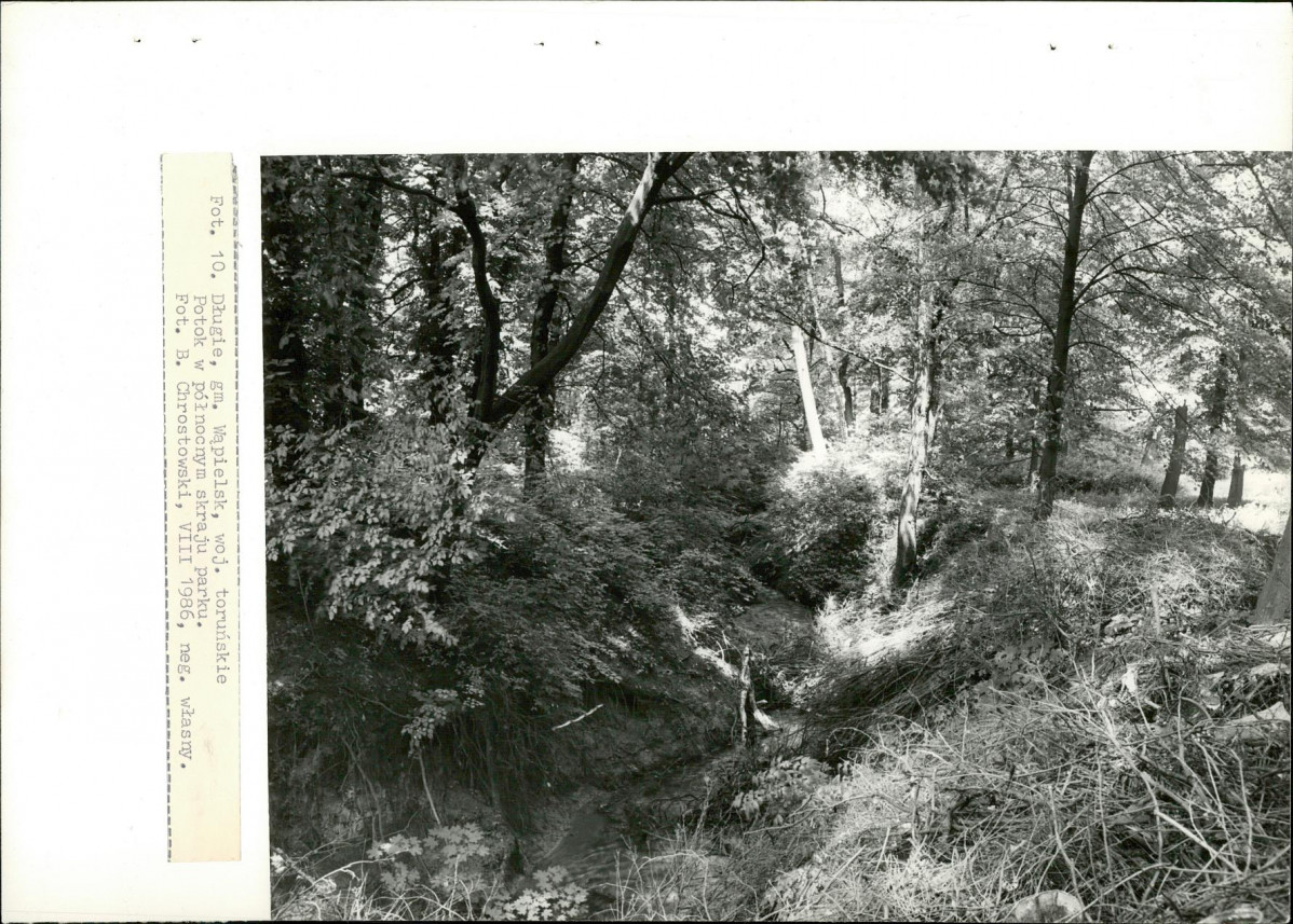 EP - Ewidencja parkowa, skan nr 39