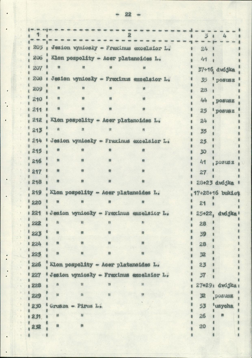 EP - Ewidencja parkowa, skan nr 29
