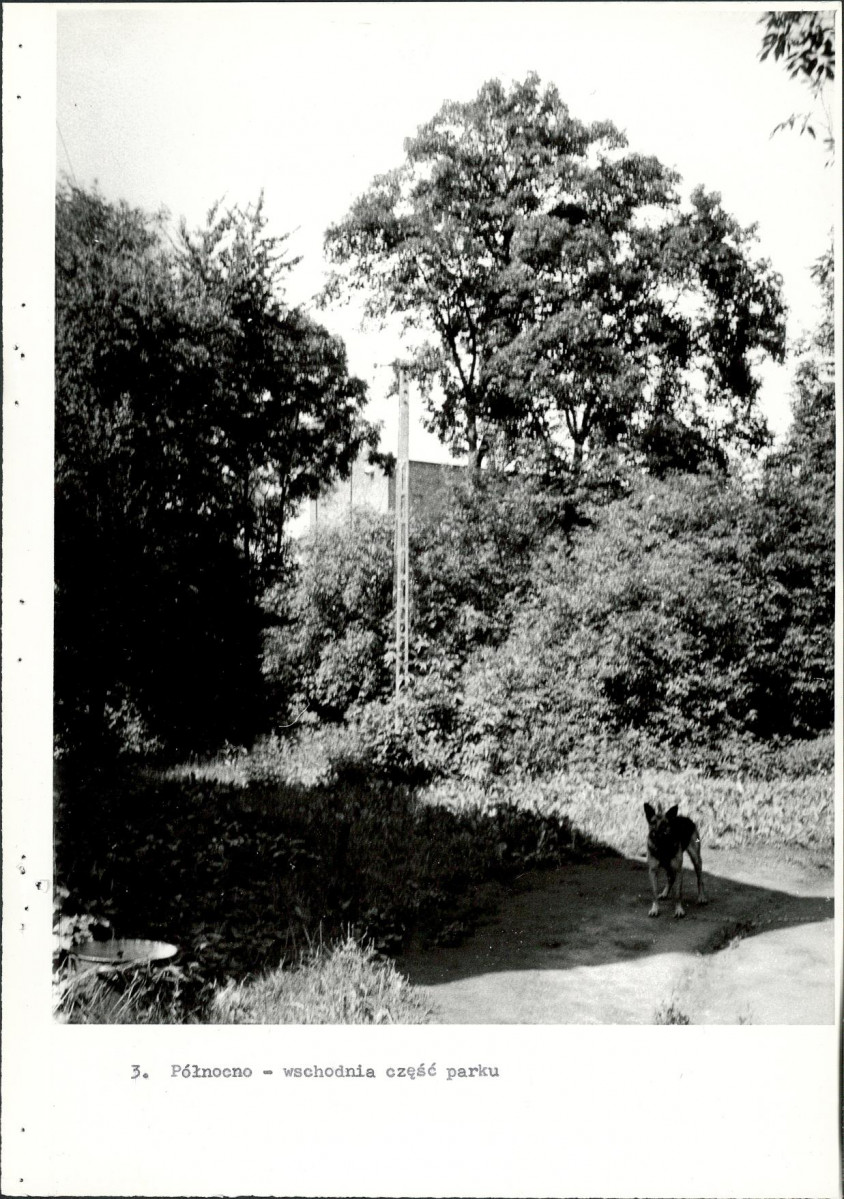 EP - Ewidencja parkowa, skan nr 38