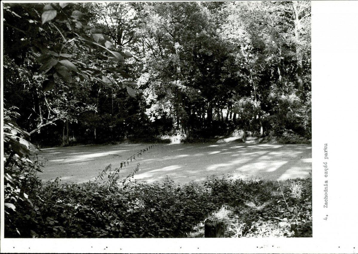 EP - Ewidencja parkowa, skan nr 39