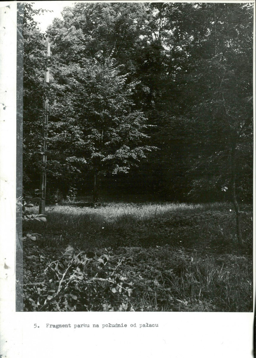 EP - Ewidencja parkowa, skan nr 40