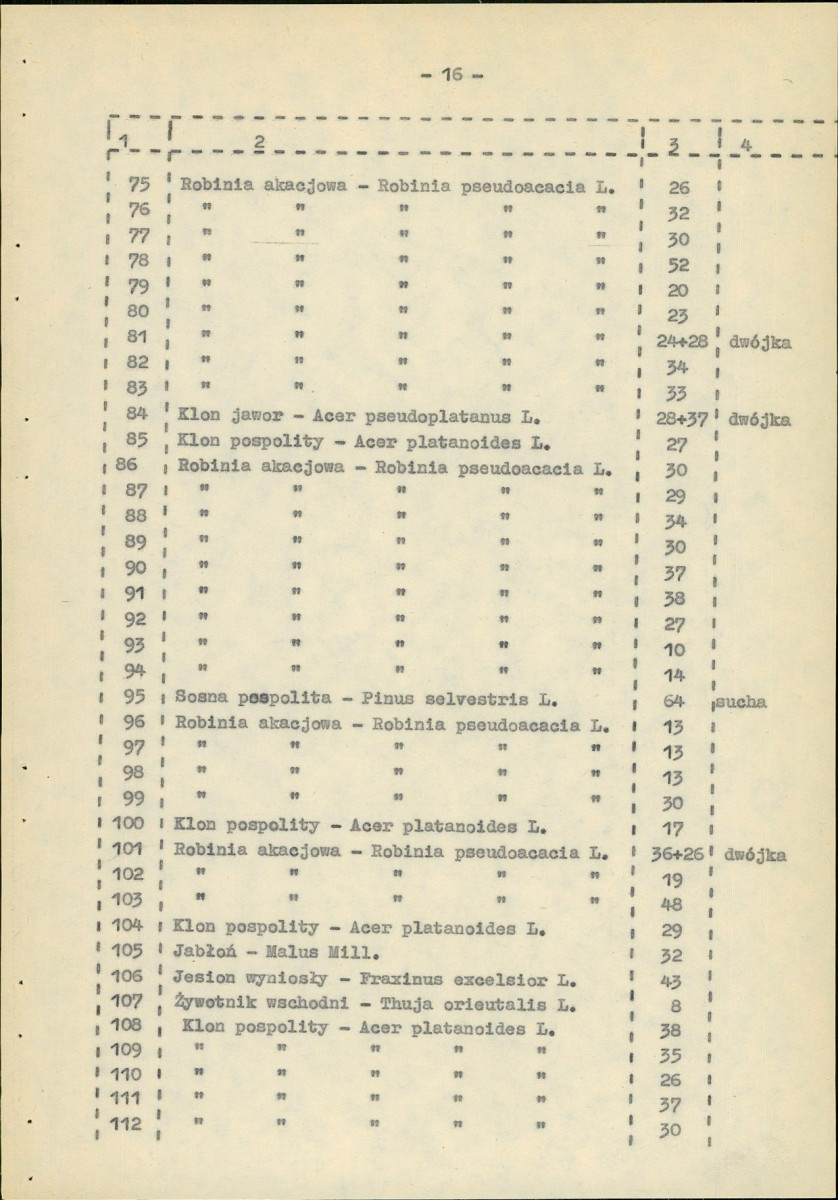 EP - Ewidencja parkowa, skan nr 24