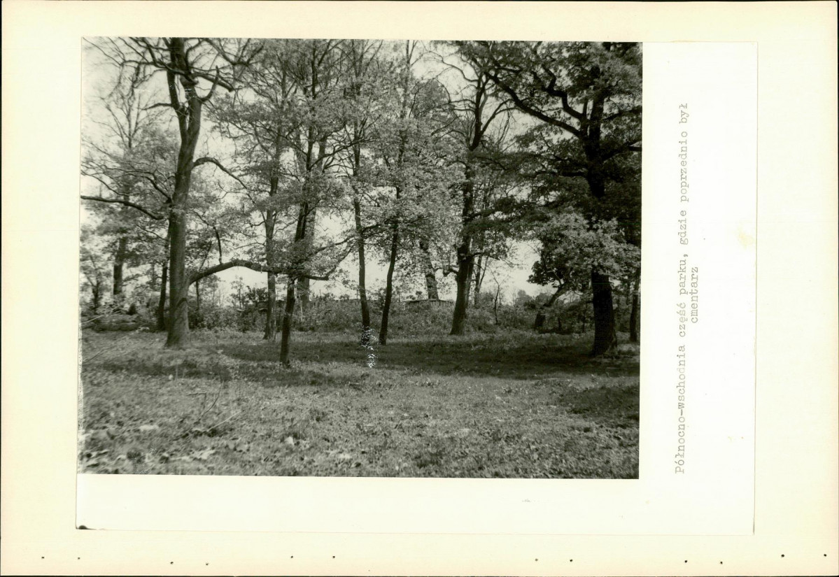 EP - Ewidencja parkowa, skan nr 38