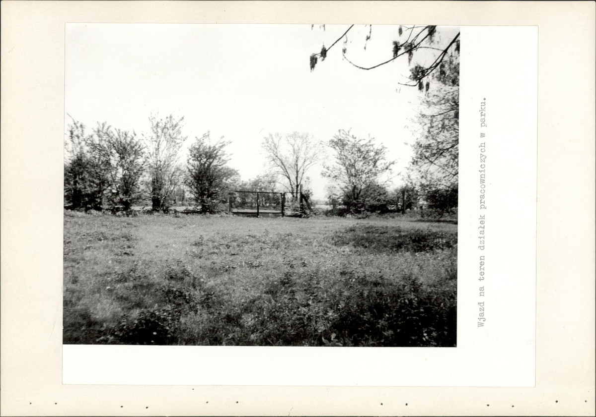 EP - Ewidencja parkowa, skan nr 39