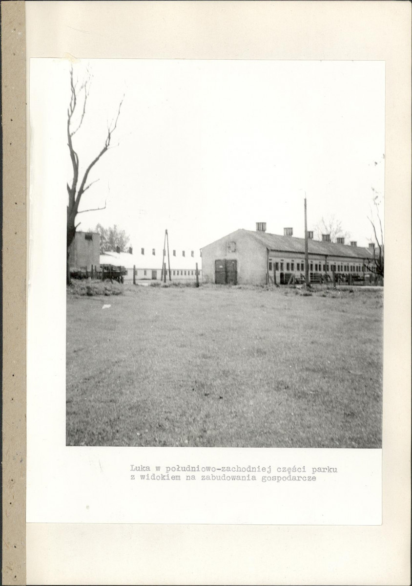 EP - Ewidencja parkowa, skan nr 40