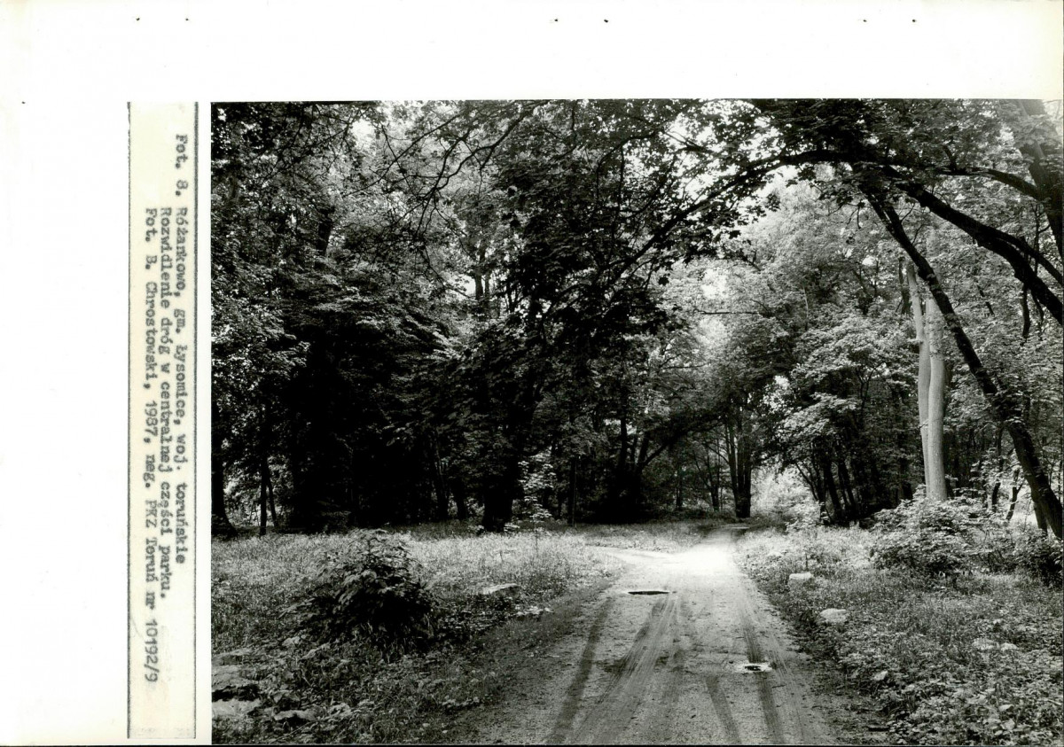 EP - Ewidencja parkowa, skan nr 29