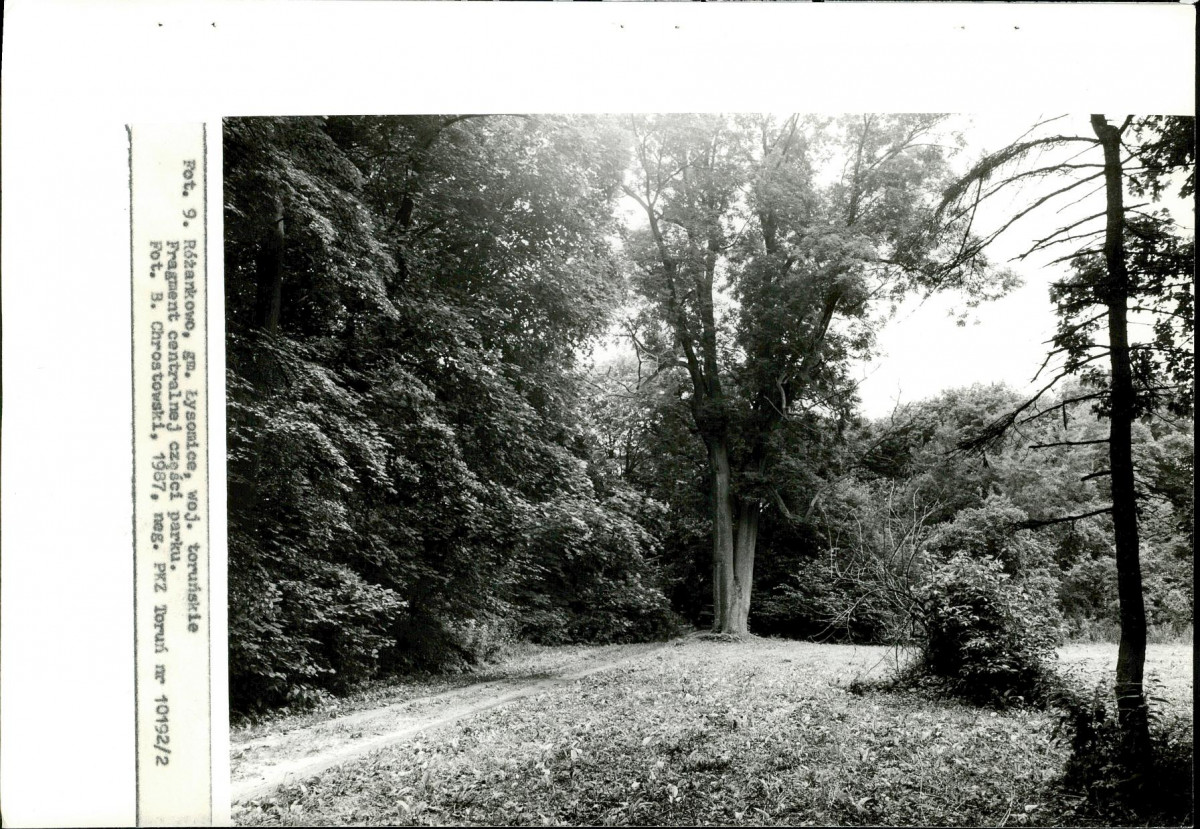 EP - Ewidencja parkowa, skan nr 30